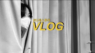 [vlog] 드레스 투어 하고왔어요 💕(클라라,클라우디아,로브드K)