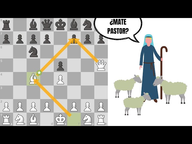 Partidas Inmortales de Ajedrez - ¡Juego al JAQUE MATE PASTOR ante Rival de  casi 2600, Y GANO! 💥  ¡No olvides suscribirte  a nuestro canal de ! 😃