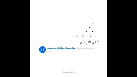 ( وإن ربك ليعلم ما تكن صدورهم وما يعلنون ) بصوت القارئ أسلام صبحي♡︎.