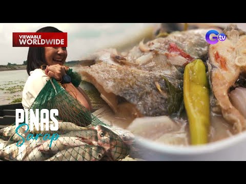 Sinigang Na Karpa Sa Miso Ng Mga Taga Pampanga Di Raw Pahuhuli Ang Lasa Pinas Sarap
