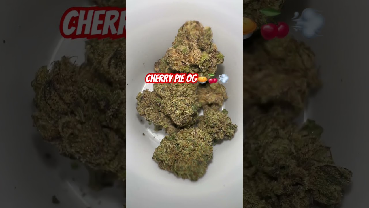 Cherry Pie Og🍒🥧🔥⛽️💨 by Sunmed 