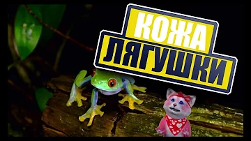 От чего у лягушки дрожит кожа
