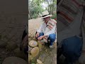 Una tradición que se dejó perder. Lo que hacían en la niñez sus padres y abuelos.
