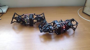 Two Minicubes-I modular robots moving