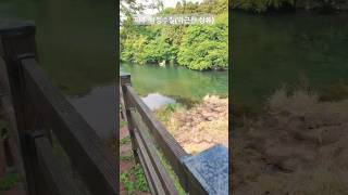 제주 청정수질(악근천 상류 물놀이터)