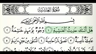 سُورَة الغاشية - Surah Al Ghashiyah by Mishray Rashid