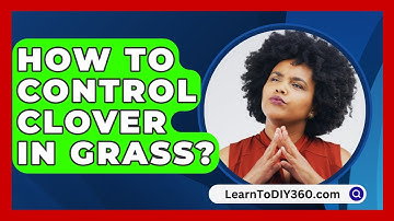 How To Control Clover In Grass? - LearnToDIY360.com