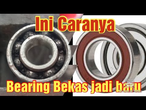 Porno model foto galereyasi Porno bilan tola kamming pussies