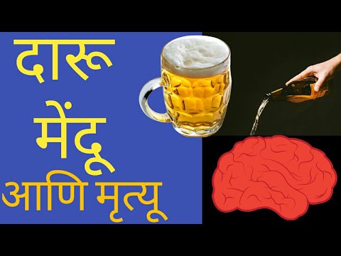 Brain Damaging Effects Of Alcohol // मद्यपानाचे मेंदू वरील घातक परिणाम