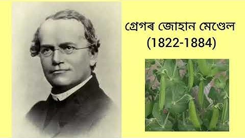 Class-X//Science//Chapter-9//বংসগতি আৰু ক্ৰমবিকাশ(Heridity and Evolution)// Assamese Medium