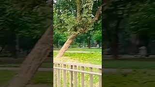 Natural Is Very Beautiful