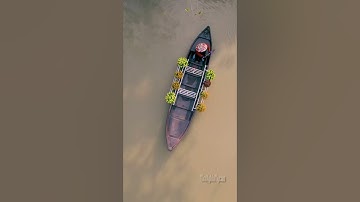 TN FLYCAM - Cánh Đồng Hoa Hồng , Làn Hoa SaĐéc