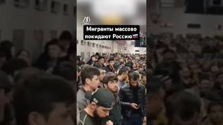 Захотят ли русские работать вместо мигрантов? #russia #ukraine #казахстан #россия #украина #москва