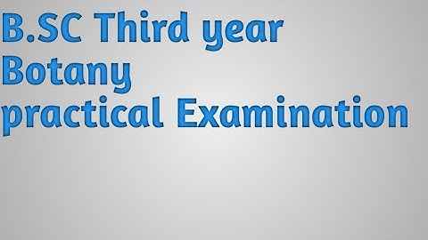 B.Sc Third year practical examination Botany