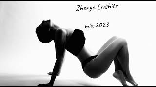 Zhenya Livshits - mix 2023