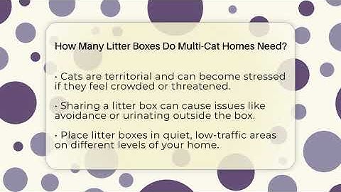 How Many Litter Boxes Do Multi-Cat Homes Need? - Happy Cat Handbook