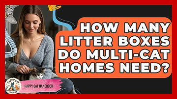 How Many Litter Boxes Do Multi-Cat Homes Need? - Happy Cat Handbook