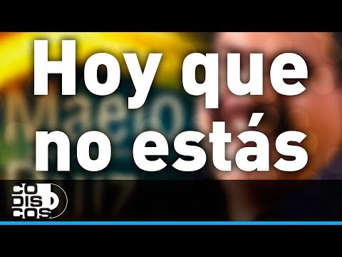 Hoy Que No