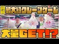 【予算１万円】 川崎最大級のクレーンゲームでどれだけ景品ゲットできる！？