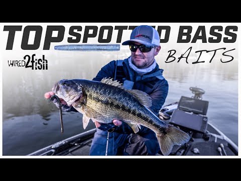 Best Lures for Spotted Bass