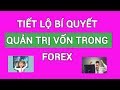 HƯỚNG DẪN  TOÀN DIỆN VỀ CHỈ BÁO  STOCHASTIC VÀ CÁCH GIAO DỊCH