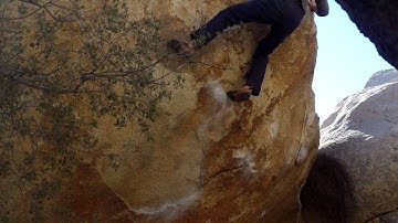 False Blockhead Yabo V5