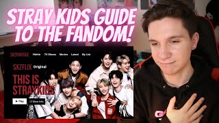 DANCER REACTS TO STRAY KIDS GUIDE PT. 3 | SKZFLIX: This is Stray Kids “LOVE STAY”