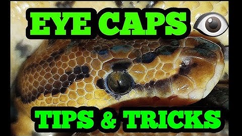 SNAKE EYE CAPS 👁 ... TIPS & TRICKS