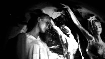 Allusions of Lynch - "Whatever" Official Music Video