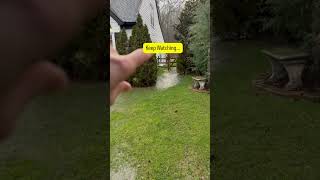 Flooding At Charlotte Home Inspection | Would You Buy This House?