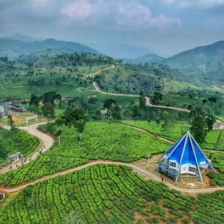 STORY WA SEDIH | SAMPAI KAPAN KAU BUKTIKAN |BANYU MOTO