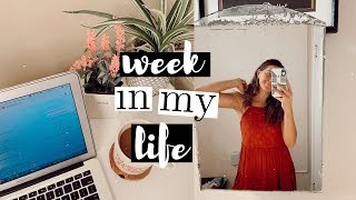 college week in my life | grocery haul, exams, missing assignments, & more!