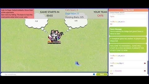 Meow playground Dodge ball game