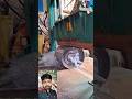 How Steel Sheets Are Sliced Like Butter#cuttingskills