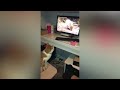 Cat jumps at screen after spotting squirrel on video