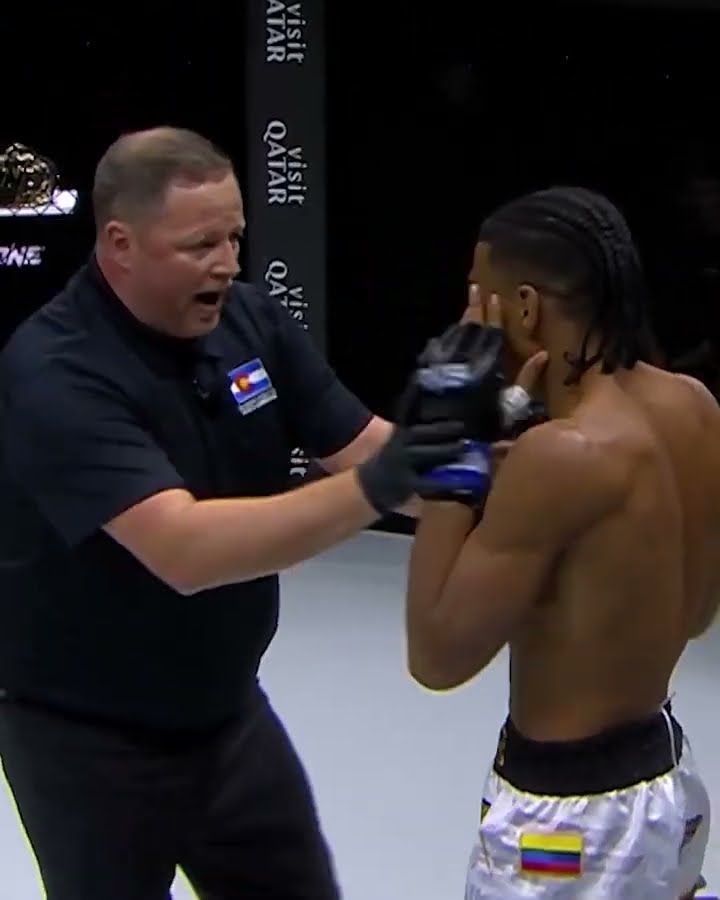 WILD KNOCKDOWNS ?