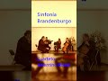 Sinfonía Brandenburgo - Cuarteto Juventino Rosas  #musica #violin #violinmusic