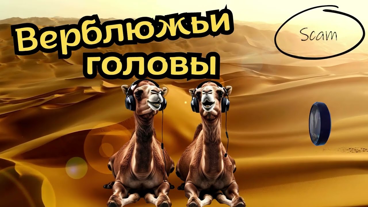 Верблюжьи головы.Телефонные аферисты