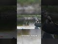 CREEK FISHING - HE BROKE MY HOOK!! 😤😱 BEST BITE of the morning GONE!! #catfish #bluecatfish #st...