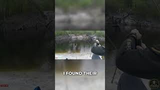 CREEK FISHING - HE BROKE MY HOOK!! 😤😱 BEST BITE of the morning GONE!! #catfish #bluecatfish #st...