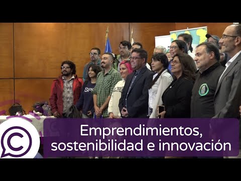 Expertos expusieron sobre sostenibilidad a emprendedores de Pichilemu