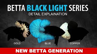 PENJELASAN PALING LENGKAP BETTA BLUE BLACK LIGHT ORIGINS ( NEW GENERATION OF BETTA ) screenshot 1