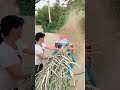 Fcnfm FCNFM Versatile Horizontal Hay Grinder For Farmers And Agricultural Contractors Fcnfm FCNFM Versatile Horizontal Hay Grinder For Farmers And Agricultural Contractors