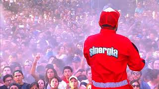 Sinergia - Lollapalooza Chile 2018