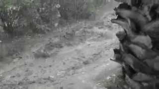 Rain 20150907 02