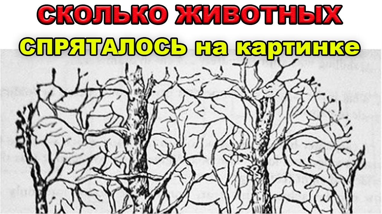 Сколько тут надо. Рисуночные тесты на внимательность. Сколько животных вы видите на картинке. Найти картинку. Найди зверей на картинке.