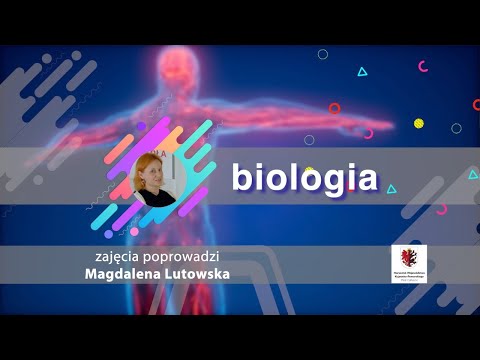 Biologia - LO - matura. Organizmy zmodyfikowane genetycznie