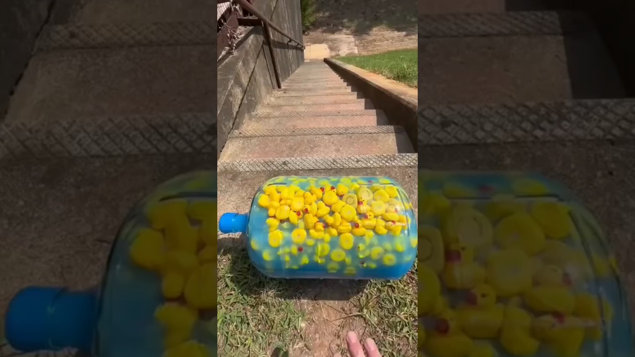 Five Sigma rules day one 