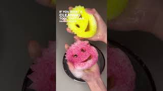 Scrub Daddy VS Scrub Mommy. What’s the Difference? 🧽🧼💦