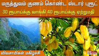 மருத்துவம் குணம் கொண்ட ஸ்டார் புரூட்.. 30 ரூபாய்க்கு வாங்கி 40 ரூபாய்க்கு ஏற்றுமதி..